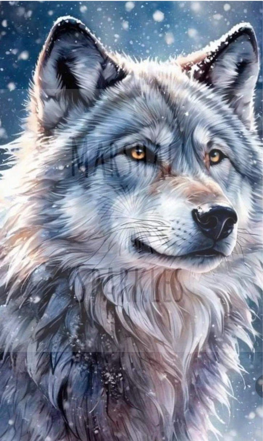 The Wolf © 40x65