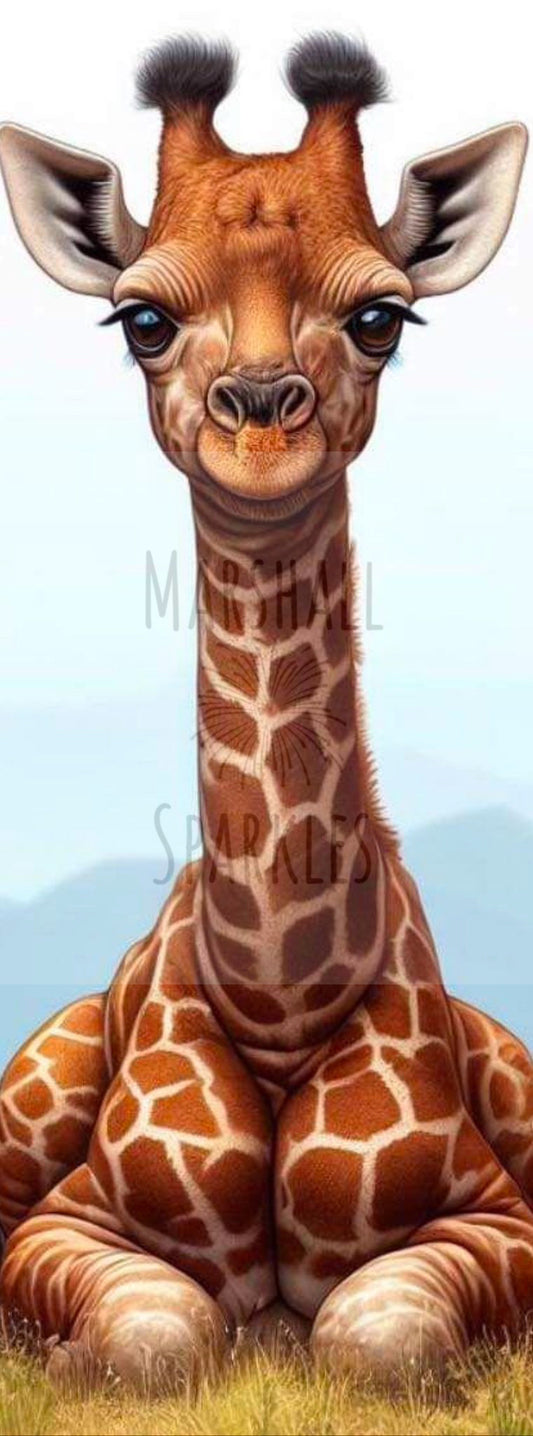 Riffy © 30x90