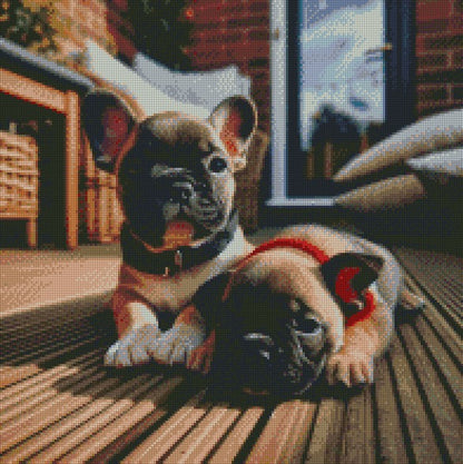 Frenchies ©  50x50 (print to order)