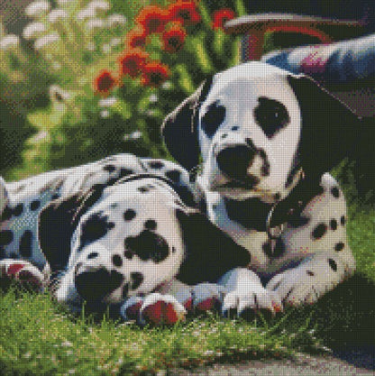 Dalmatians ©  50x50 (print to order)