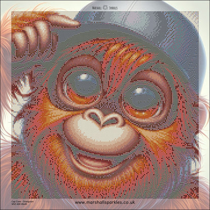 Cap Crew - Orangutan © 40x40 - (print to order)