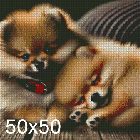 Pomeranians ©  50x50 (print to order)