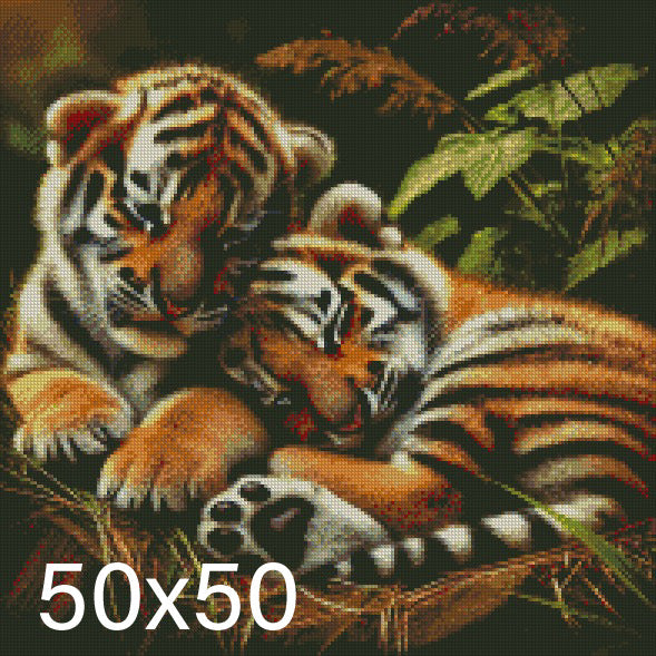 Tiger Cubs ©  50x50