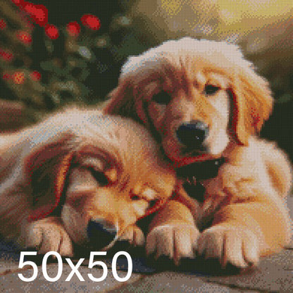 Golden Retriever ©  50x50 (print to order)