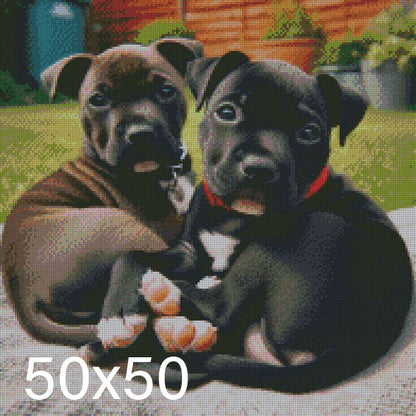 Pitbulls ©  50x50 (print to order)