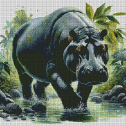 Hippo on the Prowl © 50x50