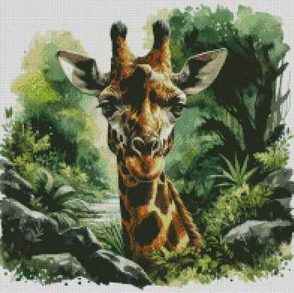 Giraffe on the Prowl © 50x50