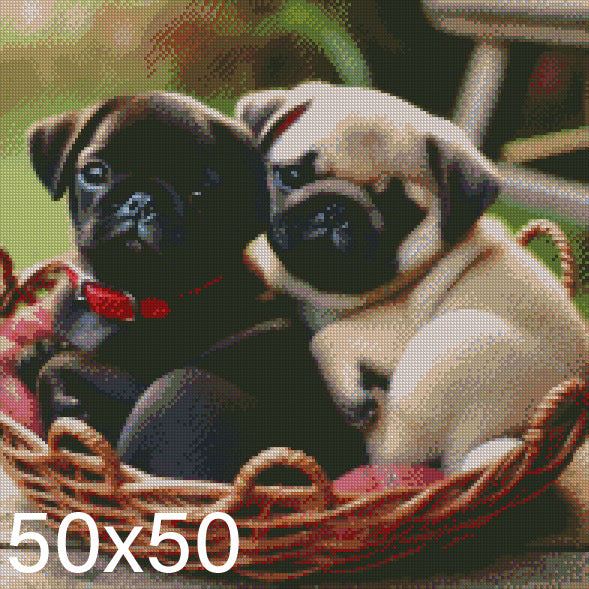 Pugs ©  50x50 (print to order)